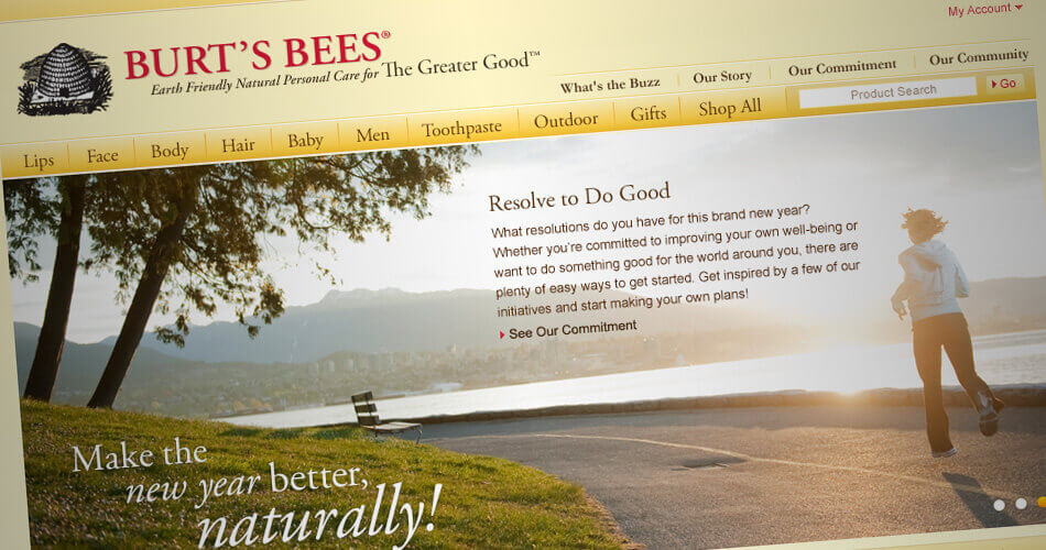 burt-s bees homepage.jpg