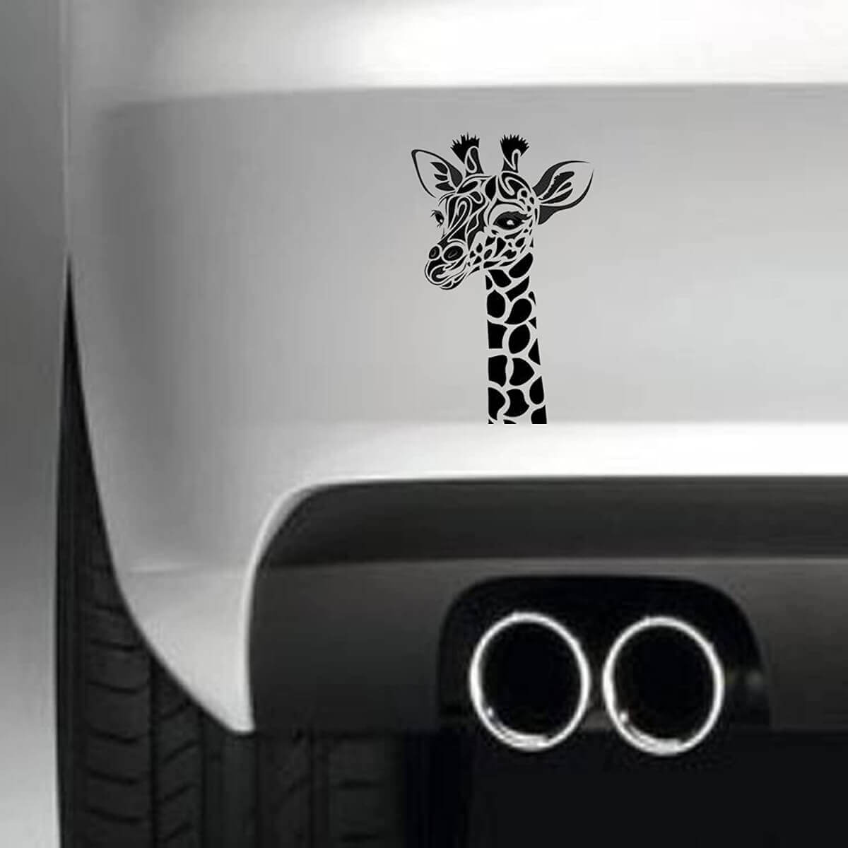 bumper sticker size.jpg