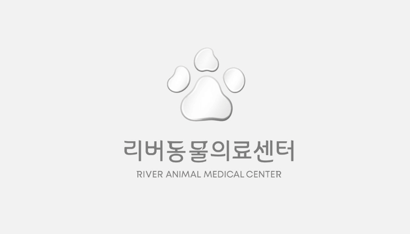 river animal medical center logo