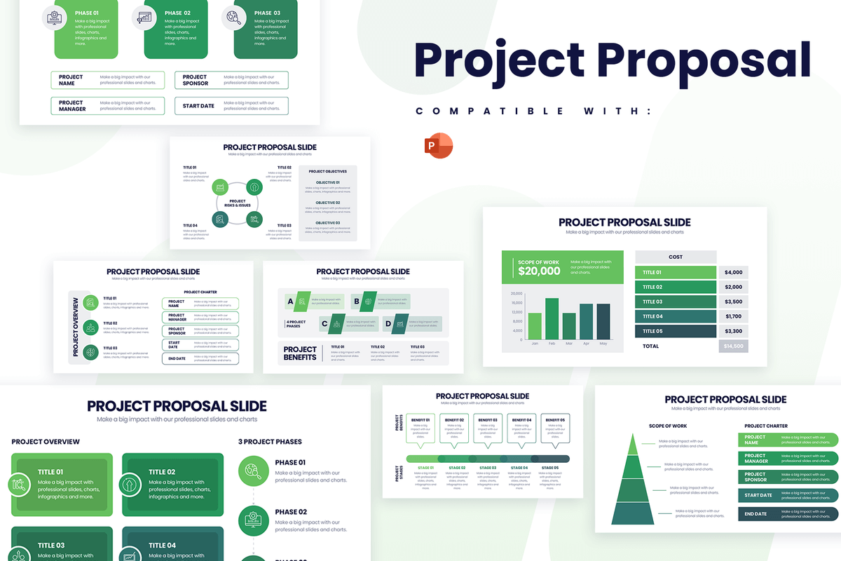 project infographic 1.png
